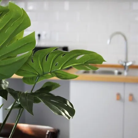 Apartamento Tikliving